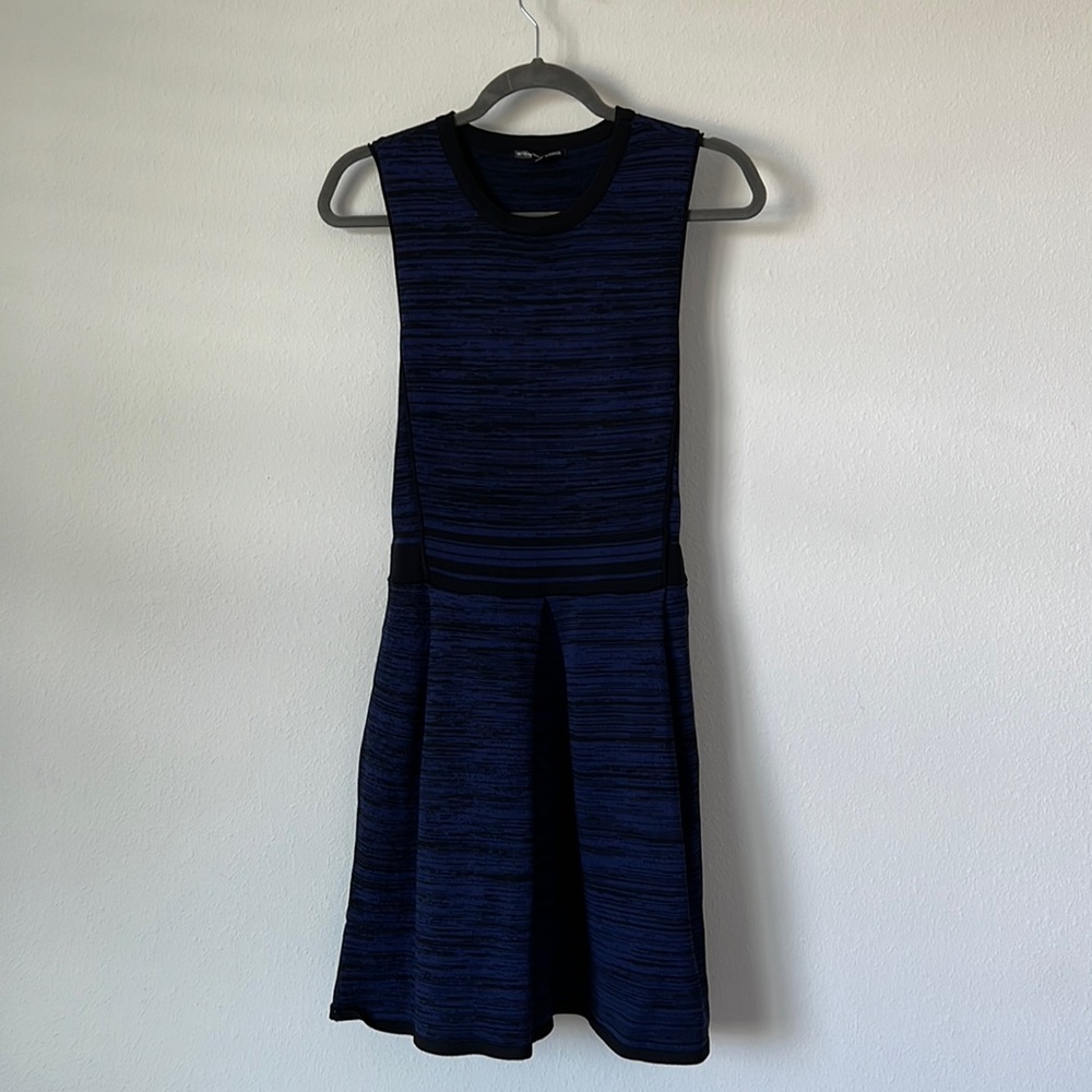 Walter Baker Dress